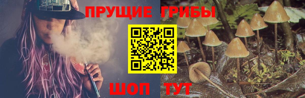 Псилоцибиновые грибы прущие грибы Когалым